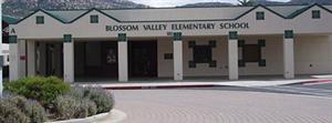 bv 