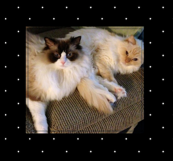 Lucas and Abby